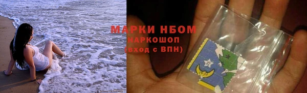 PSILOCYBIN Алзамай