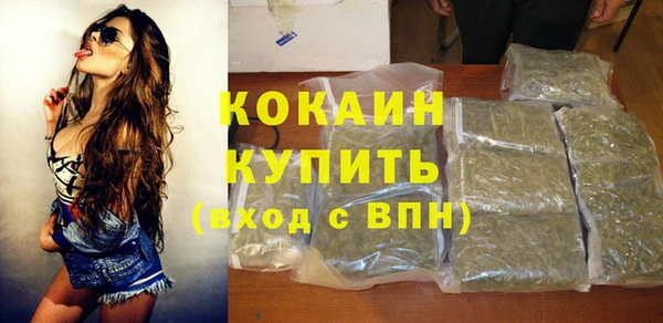 прущие грибы Абинск