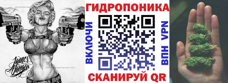 Шишки марихуана SATIVA & INDICA  mega как войти  Вилюйск 